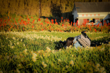 水仙の花を撮る女性