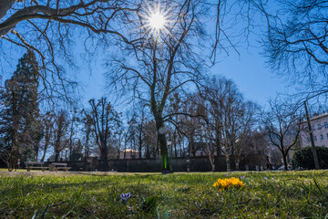 Fototapeta premium spring in the park - Kurgarten in Salzburg