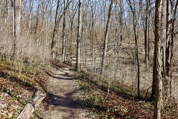 The empty trail in the winter forest on a sunny day.