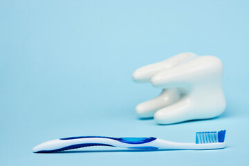 Toothbrush and tooth model on blue background