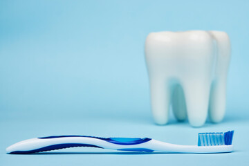 Toothbrush and tooth model on blue background