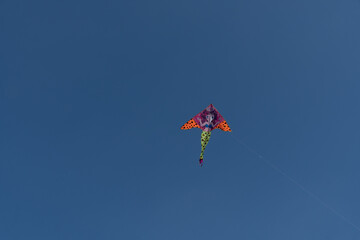 kite flying in the park in athens is part of the tradition on carnival day