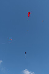 kite flying in the park in athens is part of the tradition on carnival day