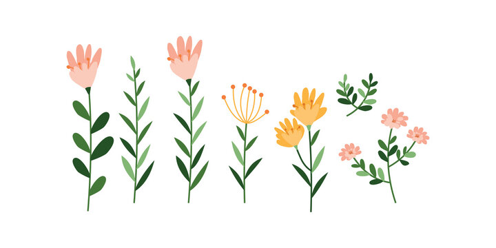 collection of floral elements. set of vector plants. floral decor isolated on blom background.