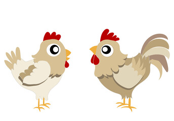 Couple coq et poule beige sur fond blanc