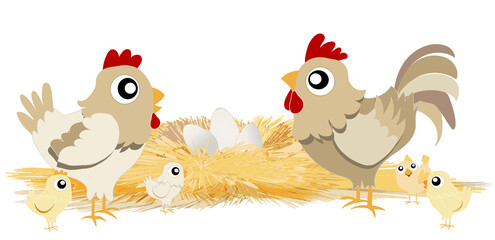 Famille poule coq et poussins devant un nid de paille rempli d’œufs