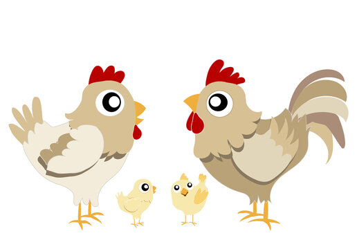 famille poule coq et poussins beige sur fond blanc