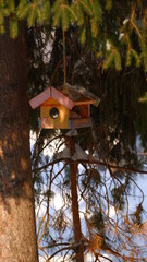 A yellow wooden birdhouse hangs on a pine tree. A birdhouse hangs low to the ground, pine branches hang from above. Winter landscape. Empty small birdhouse with a round window. Sunny winter day. 