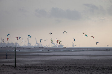 View from Kijkduin beach to Port of Rotterdam with many kitesurfer