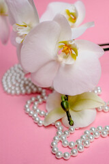 Obraz na płótnie Canvas Pearl necklace and white orchid on pink background 