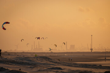 View from Kijkduin beach to Port of Rotterdam with many kitesurfer at sunset