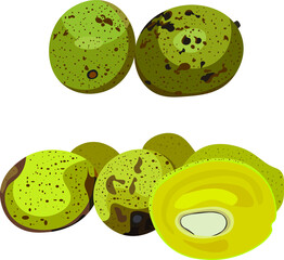 Horse Manggo Fruit Vector Illustration Art