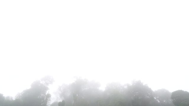 The view on the top of the mountain on a very foggy day