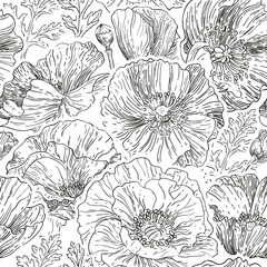 Graphic floral wallpaper, Poppy flowers lineart seamless pattern - 492819178
