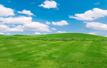 Obraz premium green field and blue sky with light clouds,Image of green grass field and bright blue sky. Plain landscape background for summer poster.
