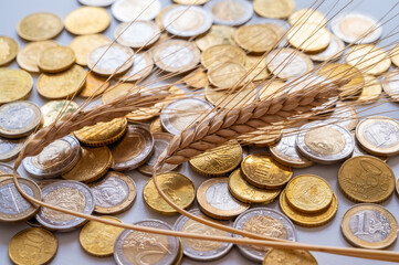 Ears of wheat on a clear surface, and coins beside it. Cost of grain, price increase, grain prices.
