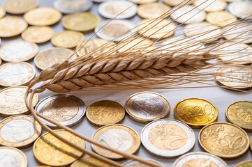Ears of wheat on a clear surface, and coins beside it. Cost of grain, price increase, grain prices.
