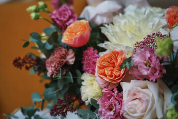 delicate pink flowers close-up. beautiful flower background