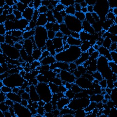Azure blue cosmic cells. Vector illustration seamless pattern background