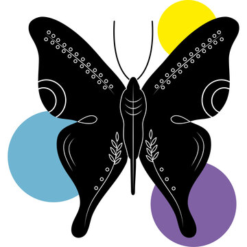 artistic butterfly illustration