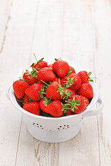 A colander full of Beautiful freshly picked strawberries, long stem