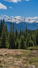 Spring Carpathian mountains view, Ukraine.