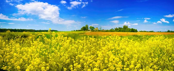 Zelfklevend Fotobehang Prachtige lente zomer landelijke natuurlijke landschap met helder geel veld van bloeiend koolzaad tegen blauwe lucht met witte wolken. © Laura Pashkevich
