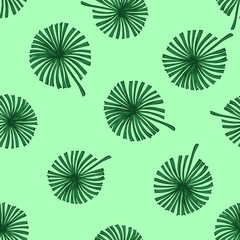 Fan palm leaves seamless pattern on. Vintage tropical foliage in engraving style.