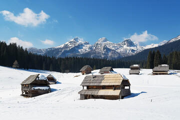 Zajavornik, Javornik mountain pasture in winter on Pokljuka, Slovenia. Scenic huts with a...
