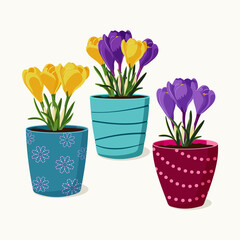 Obraz premium Set of flower pots with yellow and violet crocus flowers. Vector isolated elements. Gardening and spring vector illustration for background, textile, poster, scrapbooking, set of stickers.