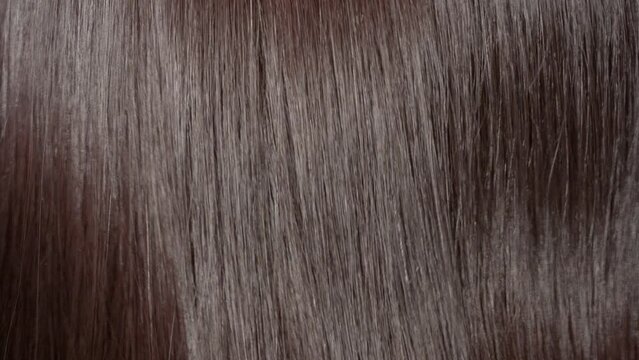 Shaking brunette hair making slow motion waves | Shampoo commercial concept