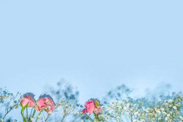 Obraz premium Cute spring flatlay background