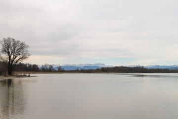 Fototapeta premium am Ammersee