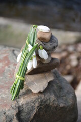 Steinpyramide mit Schneeglöckchen auf Felsen am Fluss