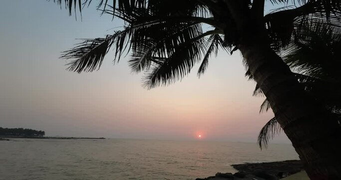 sunset at gorial beach orrange sky under cocnut tree india mumbai.