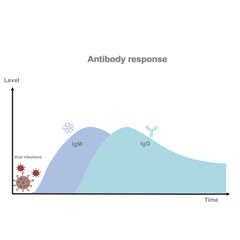 Fototapeta na wymiar A graph represent the correlation between antibody response (IgM and IgG) level and responding time after viral infection. 