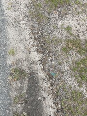 stone path in the grass