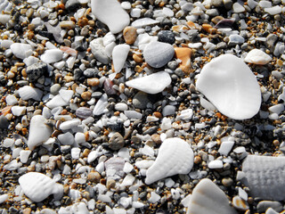 Pebbles on the seashore.