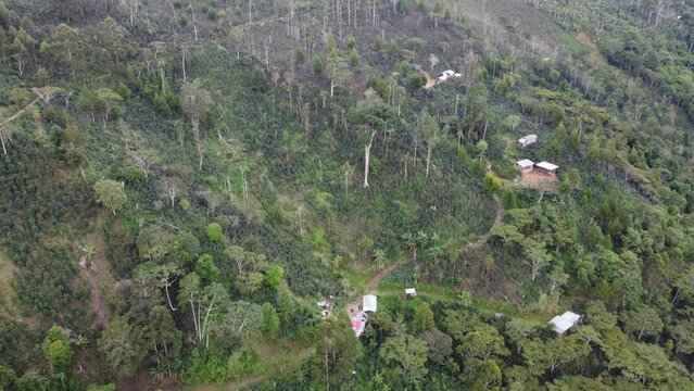 Drone shot flying over beautiful mountain ridge and clouds in rural jungle bush forest of Pichanaqui in Peru viewing the trees, plants, fields, coffee plantation and mountains