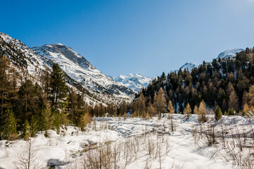 Bernina, Val Bernina, Berninabach, Morteratsch, Morteratschgletscher, Gletscher, Gletscherweg, Piz Bernina, Bellavista, Engadin, Alpen, Graubünden, Winter, Winterwanderweg, Langlauf, Schweiz