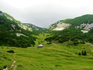 Fototapeta na wymiar Traditional wooden hut typical for the Kamnik-savinja alps in Gorenjska region of Slovenia on the Koren pasture