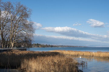 Parc William Rappard, Genève