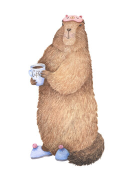 Cute groundhog drinking coffee, postcard with a kind character. Watercolor illustration painted by otruki on a white background. Kind character, image for poster, print.