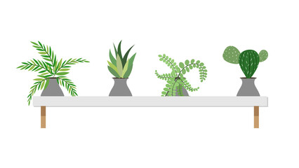 Plants planted in indoor on white wood the house vector , isolated on white background ,  Flat cartoon flat style. illustration Vector EPS 10