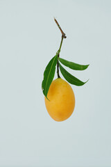 Marian plum or plum mango with leaf on white background. 