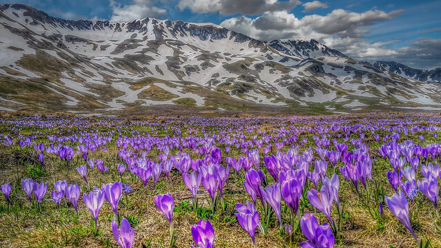 Disgelo di Primavera
