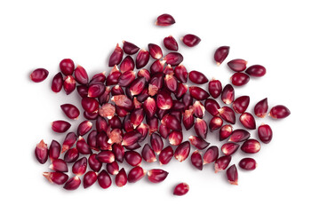 Purple corn or maize seeds isolated on white background with clipping path and full depth of field. Top view. Flat lay