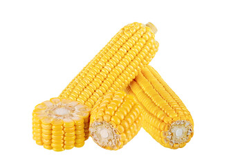Corn isolated on white background.
