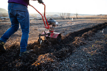 man cultivates the ground in the garden with a tiller  preparing the soil for sowing
