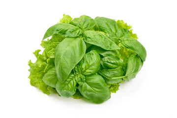 Fresh basil leaves and lettuce, isolated on a white background. High resolution image.